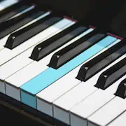 Скачать Real Piano электронное пианино Взломанная [MOD Много монет] и [MOD Меню] на Андроид