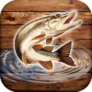 Скачать Рыбный дождь: спортивная ловля Взломанная [MOD Всё открыто] и [MOD Меню] на Андроид