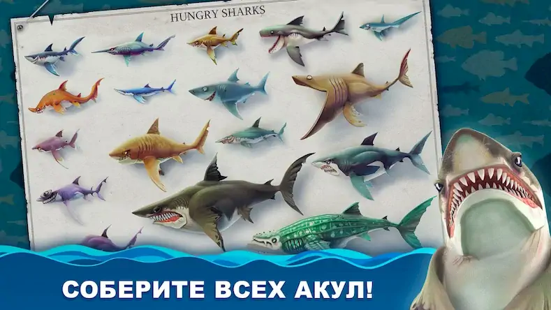 Скачать Hungry Shark World Взломанная [MOD Всё открыто] APK на Андроид