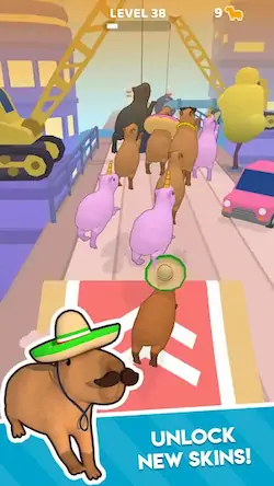 Скачать Capybara Rush Взломанная [MOD Много денег] APK на Андроид