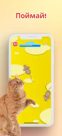 Скачать Игра для котов - Мышки и Рыбки Взломанная [MOD Бесконечные монеты] APK на Андроид
