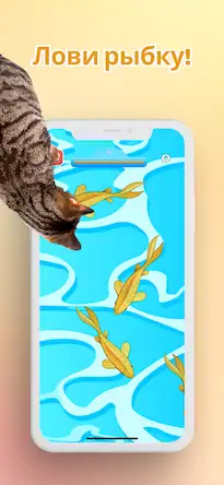 Скачать Игра для котов - Мышки и Рыбки Взломанная [MOD Бесконечные монеты] APK на Андроид