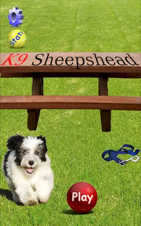 Скачать K9 Sheepshead (Schafkopf) Взломанная [MOD Всё открыто] APK на Андроид