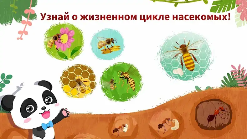 Скачать Мир насекомых с мал. пандой Взломанная [MOD Много денег] APK на Андроид