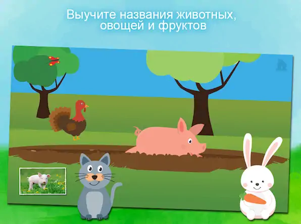 Скачать Животные - игра для малышей Взломанная [MOD Бесконечные деньги] APK на Андроид