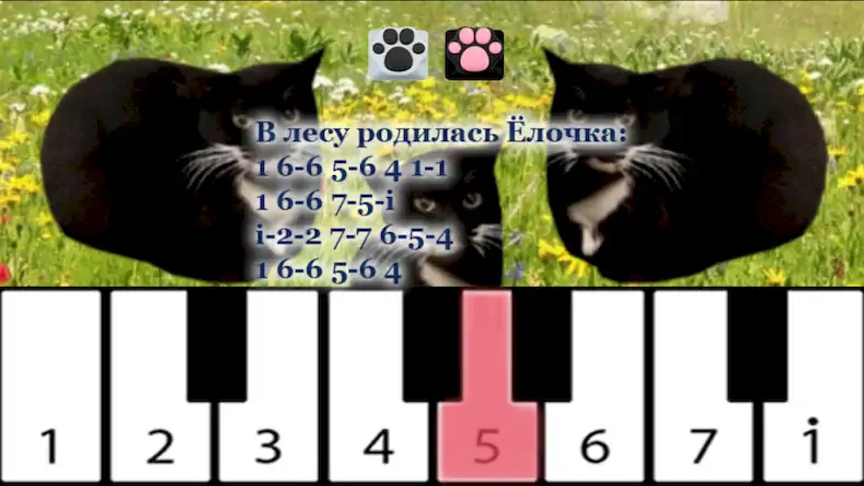 Скачать Maxwell the Cat piano Взломанная [MOD Много монет] APK на Андроид