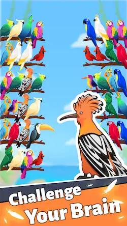 Скачать Сортировка по цвету птицы Взломанная [MOD Бесконечные деньги] APK на Андроид