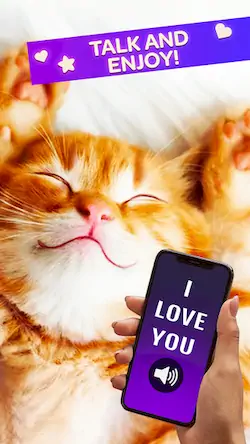 Скачать Cat Translator Pet Talk Meow Взломанная [MOD Всё открыто] APK на Андроид