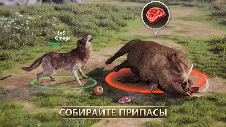 Скачать Wolf Game: Wild Animal Wars Взломанная [MOD Бесконечные деньги] APK на Андроид