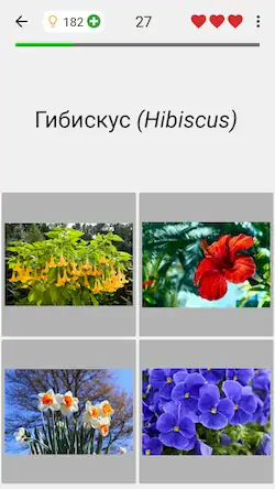 Скачать Цветы - Викторина по ботанике Взломанная [MOD Много монет] APK на Андроид