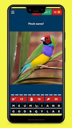 Скачать Bird Guessing Fun Trivia Взломанная [MOD Много монет] APK на Андроид