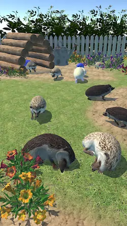 Скачать Hedgehog Friends Взломанная [MOD Бесконечные монеты] APK на Андроид