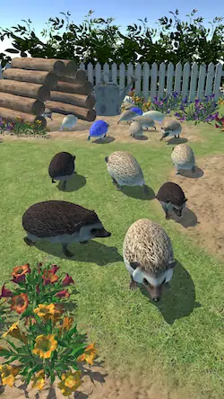 Скачать Hedgehog Friends Взломанная [MOD Бесконечные монеты] APK на Андроид